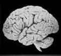 Thumbnail image for Mental Illness