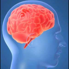 Thumbnail image for Drugs and the Brain