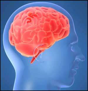 Post image for Drugs and the Brain