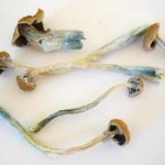 Hallucinogens