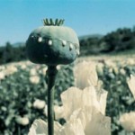 Heroin
