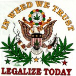 Legalizing of Marijuana Raises Health Concerns
