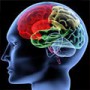 Addiction & the Brain’s Reward Pathway